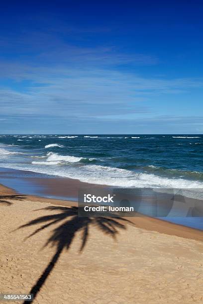 Beach In Salvador Bahia Stockfoto und mehr Bilder von Atlantik - Atlantik, Bahia, Baum