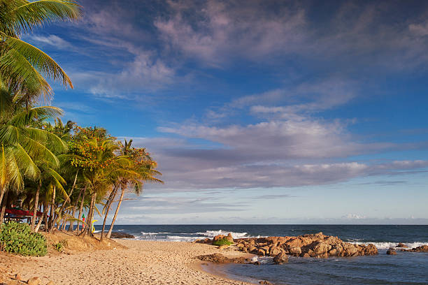 istock Beach in Salvador, Bahia 485541567