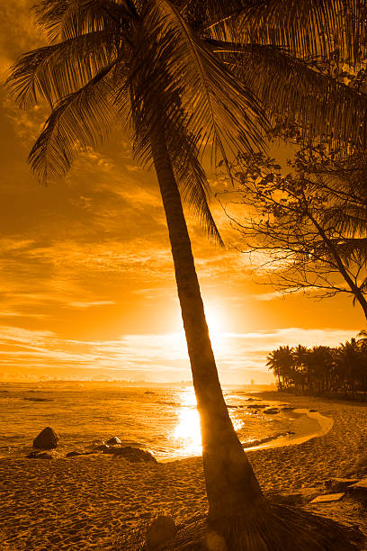 istock Itapua Beach in Salvador, Bahia 485541583