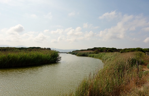 A river found in Viladecans, Barcelona (Spain) surrounded by general vegetation. Also visible a blue sky with sparse clouds.
