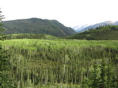 mount-mckinley-im-denali-national-park-alaska.jpg?b=1&s=170x170&k=20&c=R9nTegAYhKhIFaCFuFSuChoChizvnEt3RifF349Mm6E=