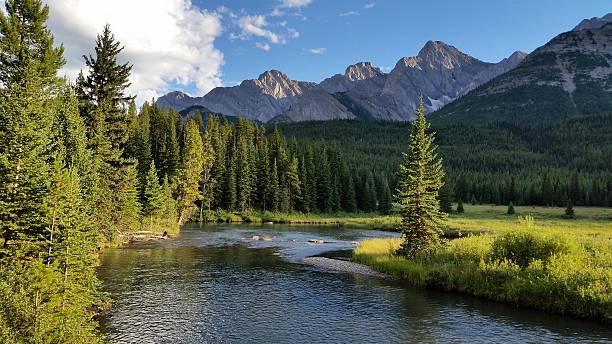 istock Upper Elk River in Elk Lakes Provincial Park, British Columbia. 485553396