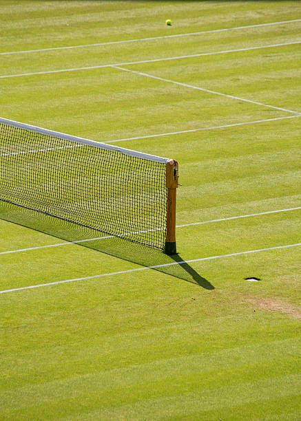 istock Grass Tennis Court 485553490
