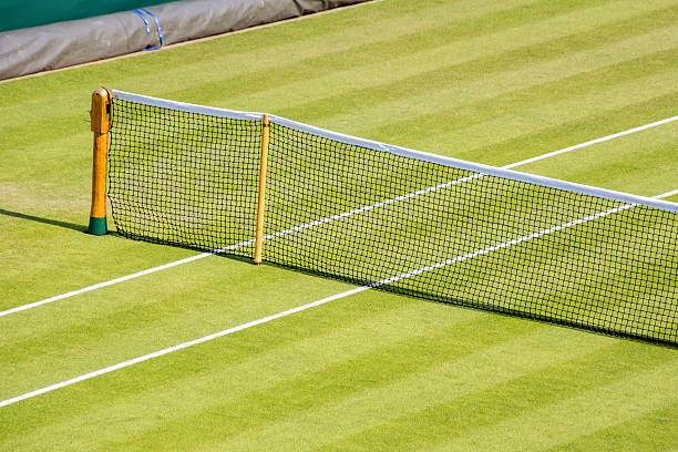 istock Grass Tennis Court 485553492