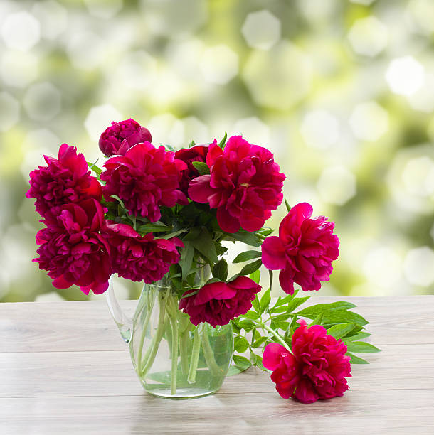bouquet of mauve peonies on a garden table