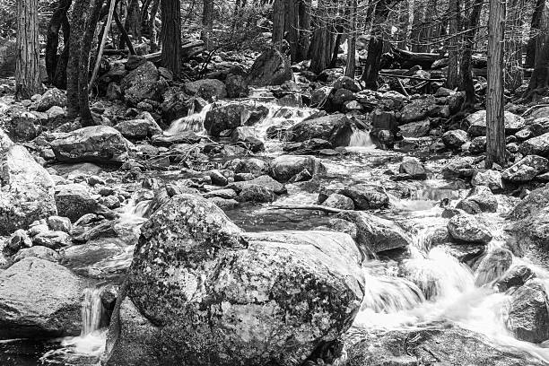 istock Bridalveil Creek II 485556531