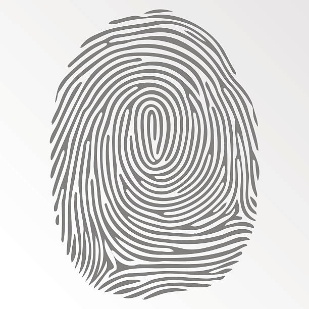 wektor ciemnych linii papilarnych na szarym tle - fingerprint thumbprint human finger track stock illustrations