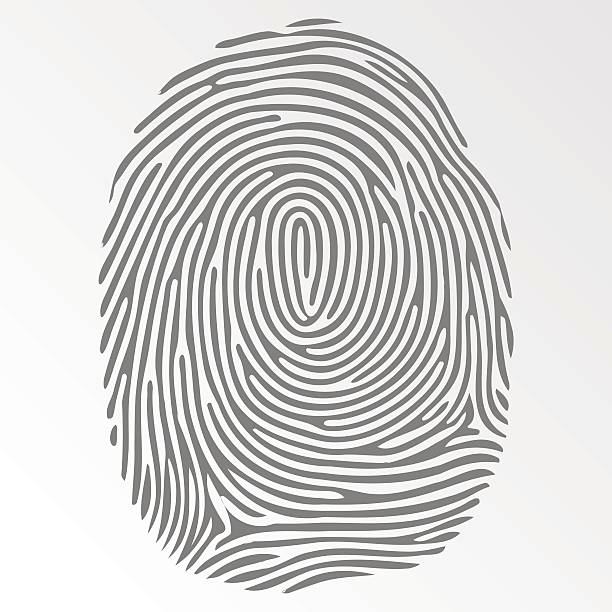 ilustrações de stock, clip art, desenhos animados e ícones de digital escuro de vetor no fundo cinzento - fingerprint thumbprint track human finger