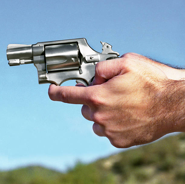 istock Silver Revolver, California 485558038
