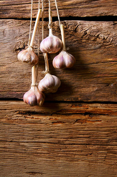 ajo en un cable. - garlic hanging string vegetable fotografías e imágenes de stock