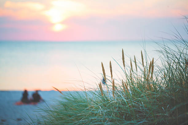 At the ocean. 