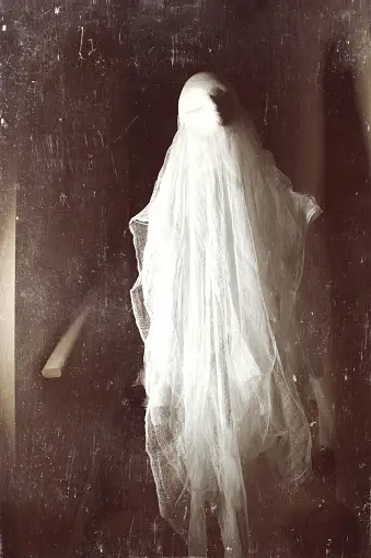 Paranormal Ghost Photo ghostly figure images