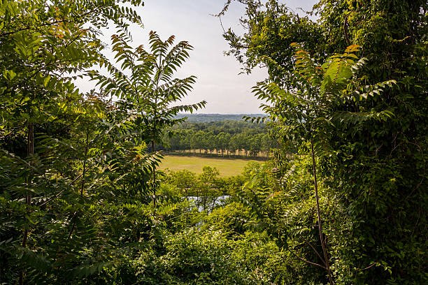 istock Ticino Valley Nature Park, Italy 485560174