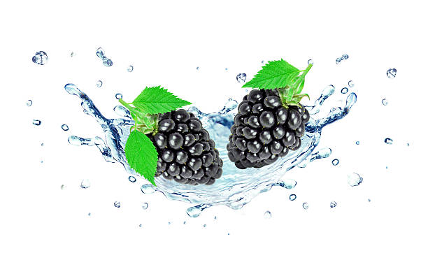 blackberry et eau splash - blackberry telephone mobile phone isolated photos et images de collection