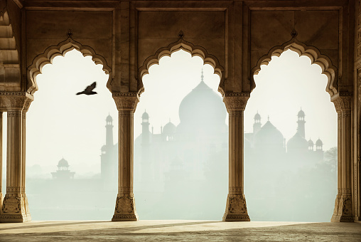 Taj Mahal through the columns, Agra, India