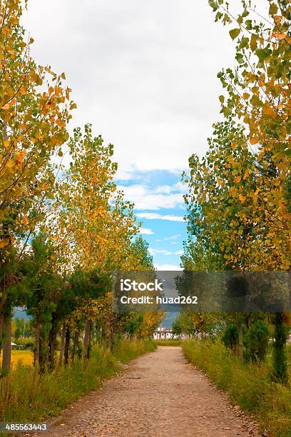 Scenerytaken Rural Na Dali Yunnan Da China - Fotografias de stock e mais imagens de Agricultura - Agricultura, Ajardinado, Aldeia