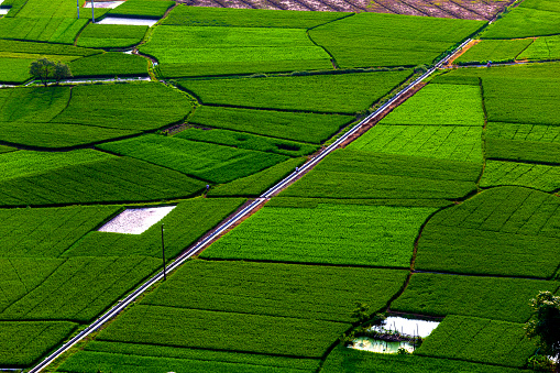 Farmland in Yangshuo,Guilin,China