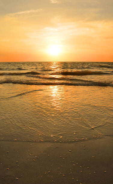 istock Beautiful golden beach at sunset. 485564204