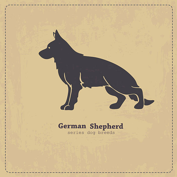 owczarek niemiecki pies sylwetka - german shepherd illustrations stock illustrations