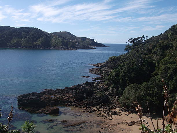 istock Beach, Kaitaia, New Zealand 485564558