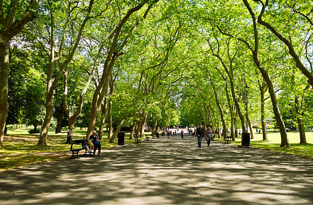 Crystal Palace Park Greater London, England - August 6, 2015: People walking, sitting on benches and enjoying the sunny weather in Crystal Palace Park in the London Borough Of Bromley, Greater London. Crystal Palace Park was the pleasure gardens surrounding the Crystal Palace, a Victorian exhibition hall which was destroyed by fire in 1936. The park is still a very popular destination. borough of bromley photos stock pictures, royalty-free photos & images