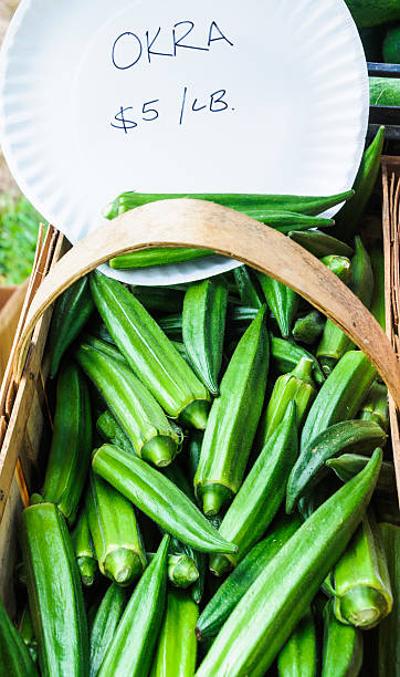 frais okra - august cape cod massachusetts new england photos et images de collection