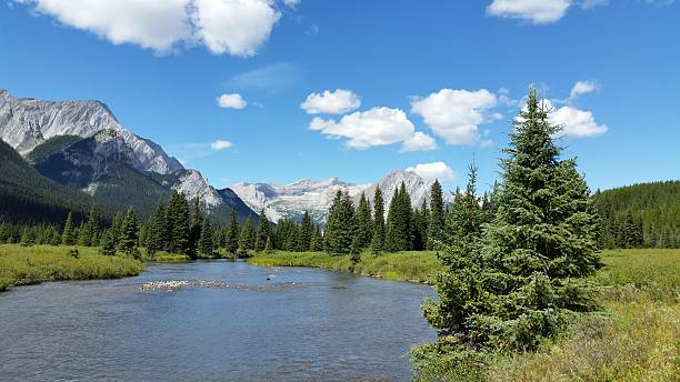 istock Upper Elk River in Elk Lakes Provincial Park, British Columbia. 485565510