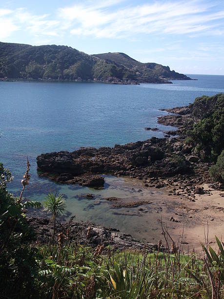 istock Beach, Kaitaia, New Zealand 485569354