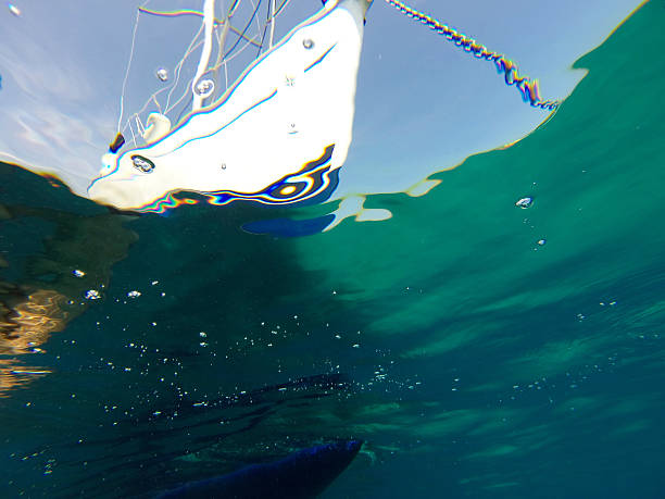 view of the boat from the water