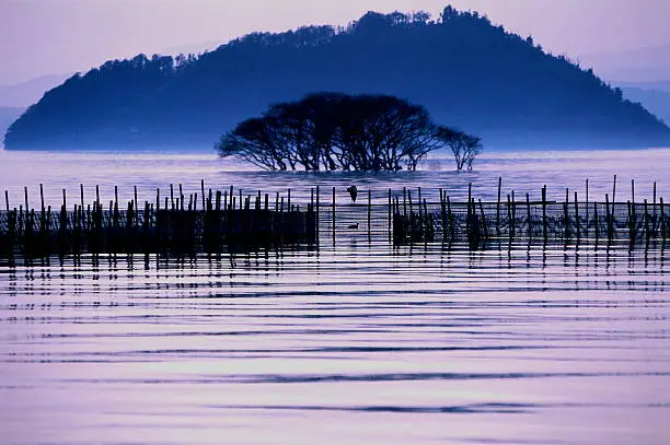 Photo of Lake Biwa of evening mist