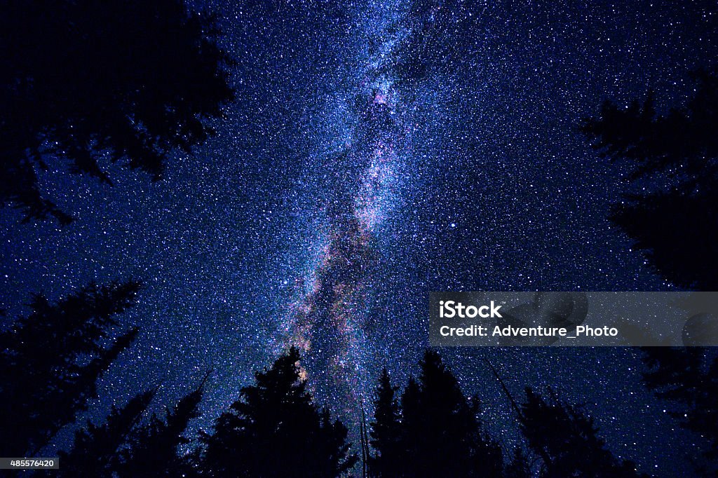 Sky and Mountain Forest at Night with Milky Way Galaxy Sky and Mountain Forest at Night with Milky Way Galaxy - Scenic nature image looking up at sky with silhouetted evergreen trees. Star - Space Stock Photo