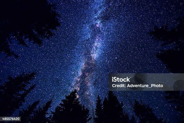 Sky And Mountain Forest At Night With Milky Way Galaxy Stock Photo - Download Image Now