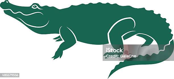 Alligator Stock Illustration - Download Image Now - Alligator, Vector, In Silhouette