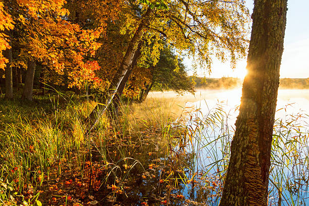 istock Misty sunrise on a lake beach in autumn 485579610