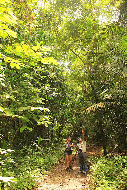 Bird watchers and local guides seek for wildlife in Panama Soberania National Park, Panama - August 6th of 2014: Bird watchers and local guides seek for wildlife in this rain forest area established as a national park in 1980 covering 55,000 acres (220 km2). soberania national park stock pictures, royalty-free photos & images