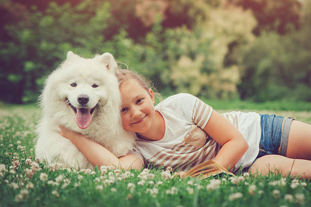 istock Little girl lying on green ground with Samoyed dog 485581695