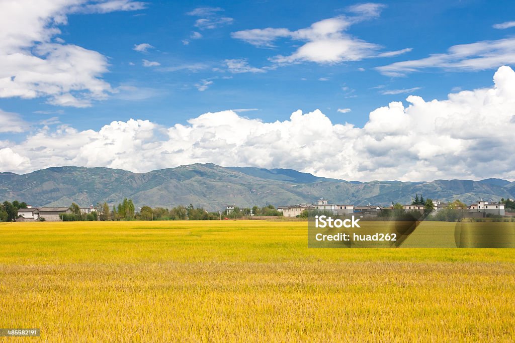 Rural scenery.Taken in the Dali Yunnan China Agricultural Field Stock Photo