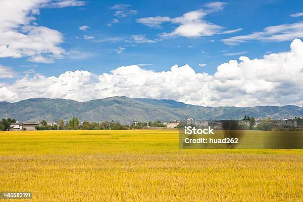 Rural Scenerytaken In The Dali Yunnan China Stock Photo - Download Image Now - Agricultural Field, Agriculture, Autumn