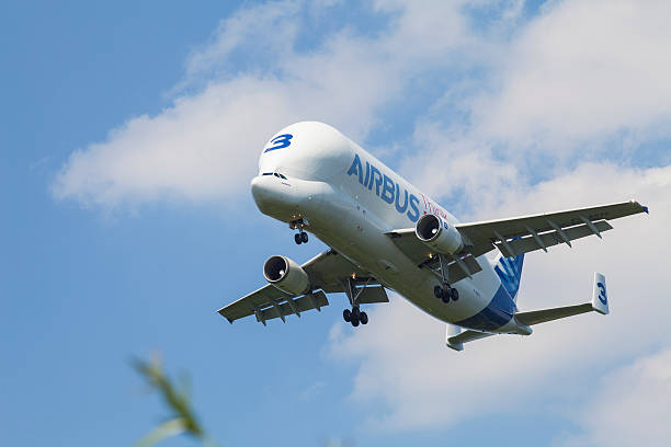 airbus beluga landing in hamburg finkenwerder - beluga whale stock-fotos und bilder