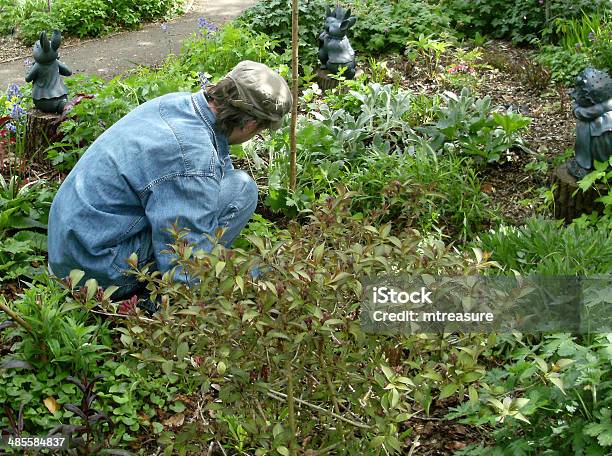 Image Of A Person Weeding A Woodland Garden Border Stock Photo - Download Image Now - Activity, Adult, Adults Only