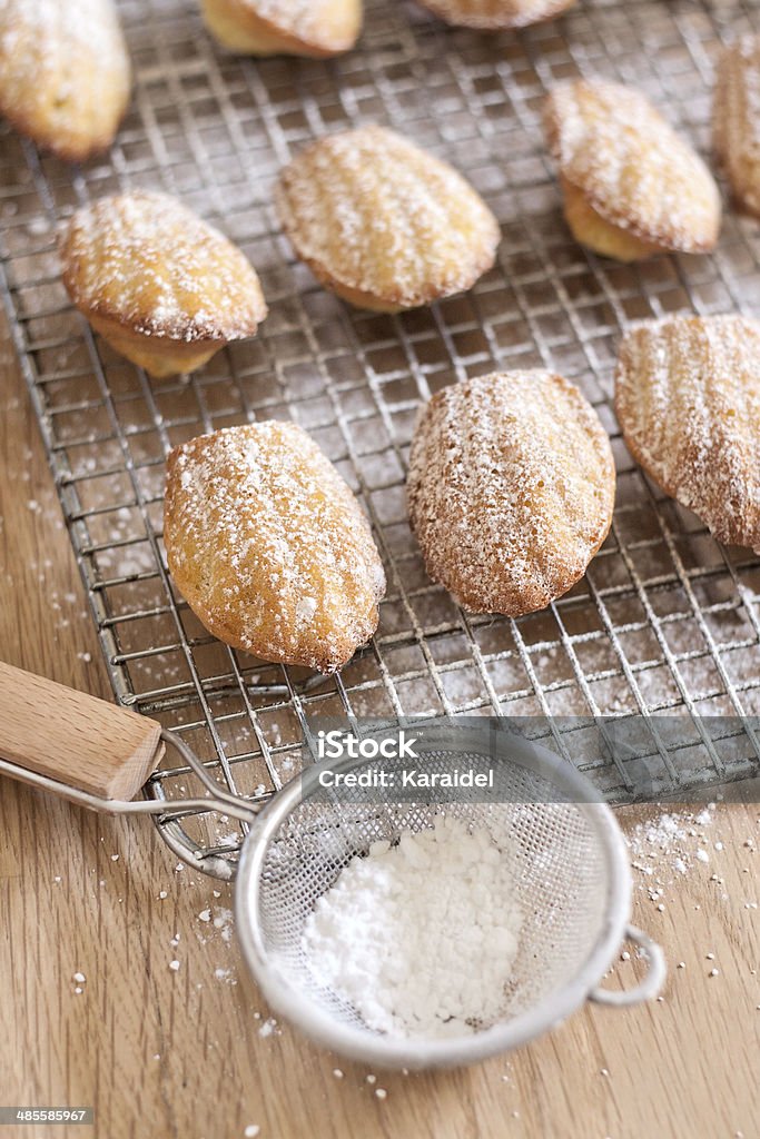 Madeleines Sugar powdered madeleines. Selective focus. Madeleine Sponge Cake Stock Photo