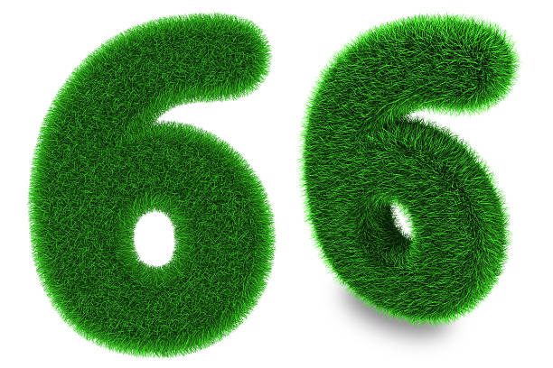 istock Number six made of grass 485586197