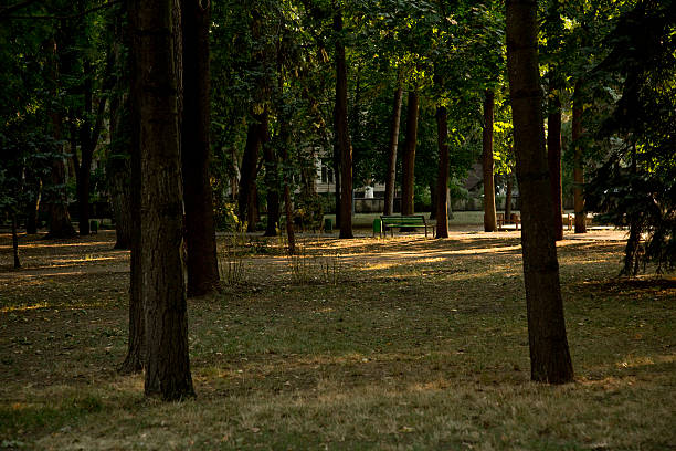 Escena de tranquilidad banco del parque - foto de stock