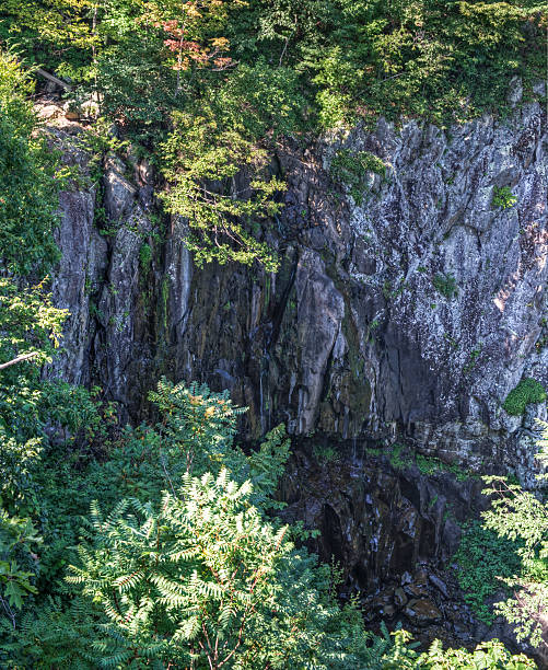 istock Overall Run Falls in Shenandoah National Park 485587454
