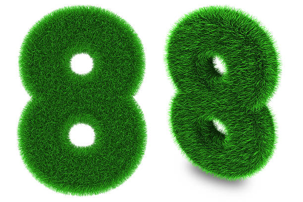istock Number eight made of grass 485587481