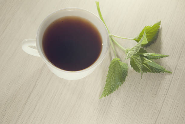 istock cup of nettle tea with fresh nettle 485587682