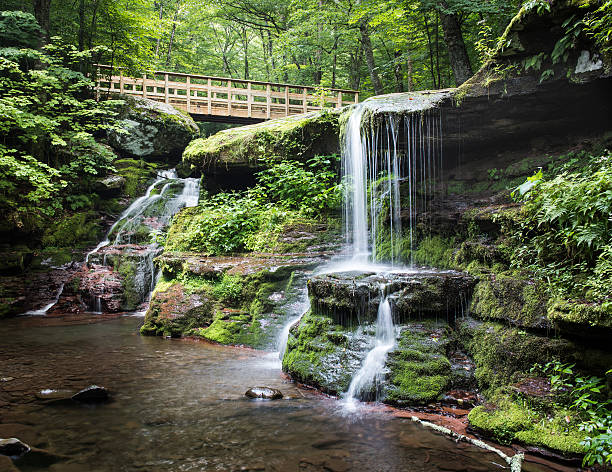 Diamond Notch Falls and Footbridge in the Catskill Mountains