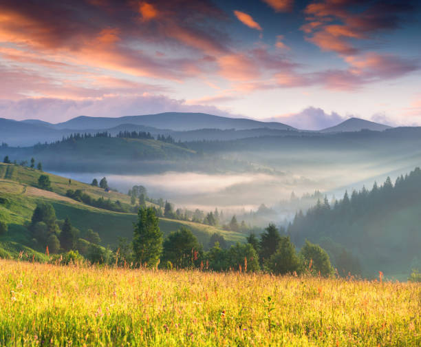 istock Colorful summer sunrise in the mountains 485587961