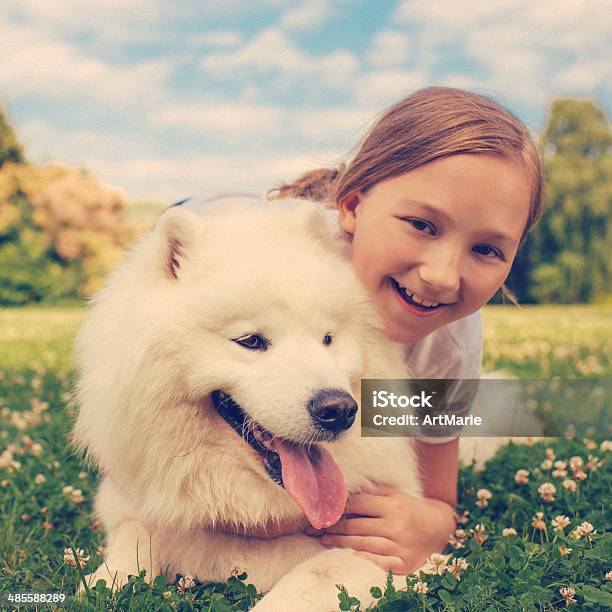 少女と犬 - 1人のストックフォトや画像を多数ご用意 - 1人, くつろぐ, そり犬