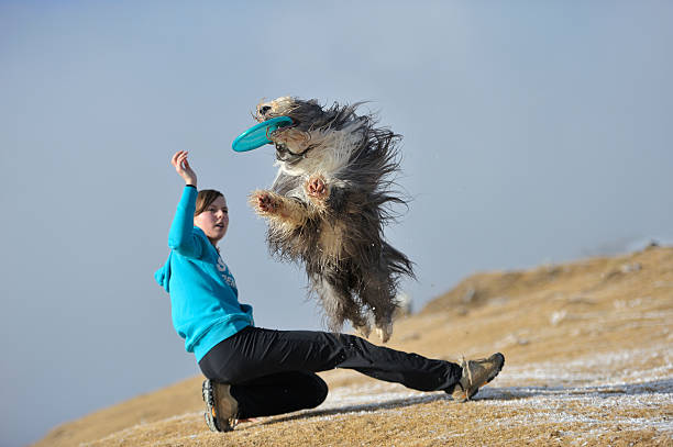 Man with his dog playing in the park
